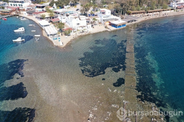 Bodrum'da denizin çekilmesiyle tarihi surlar ortaya çıktı