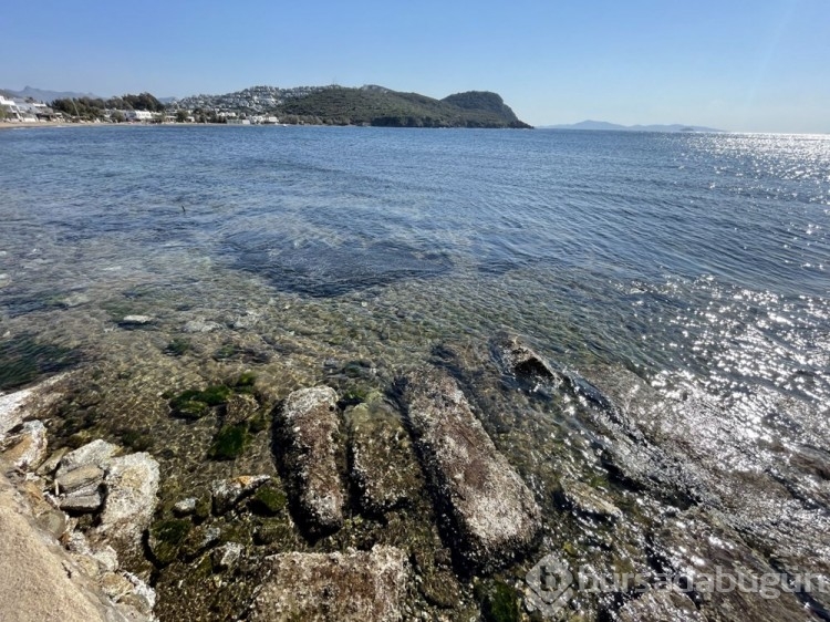 Bodrum'da denizin çekilmesiyle tarihi surlar ortaya çıktı