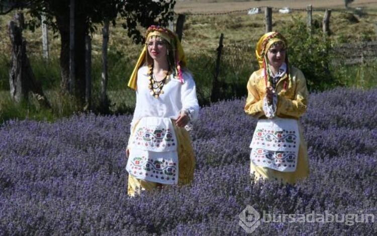 Lavanta Tarla Günleri'nde renkli kareler