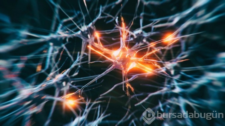 Kadınların Alzheimer'a erkeklerden daha yatkın olduğu keşfedildi