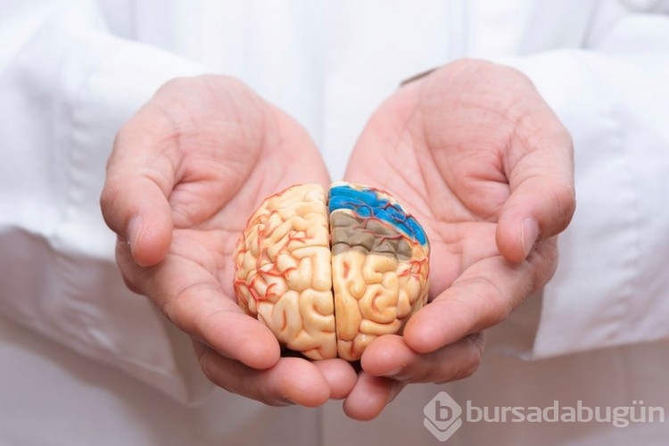 Kadınların Alzheimer'a erkeklerden daha yatkın olduğu keşfedildi