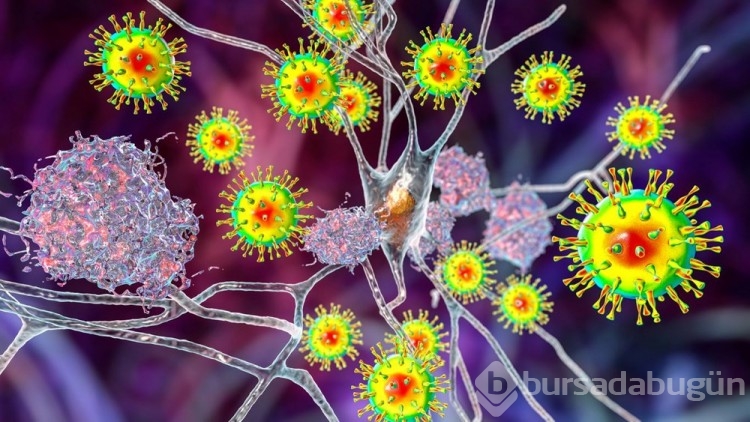 Kadınların Alzheimer'a erkeklerden daha yatkın olduğu keşfedildi