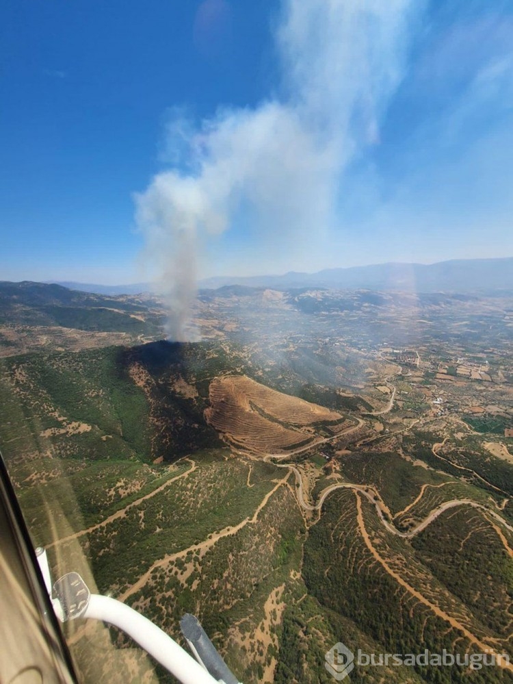 Çanakkale'de orman yangını