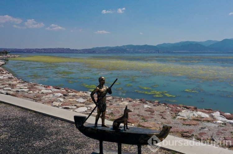 İzmir'de yosun istilası