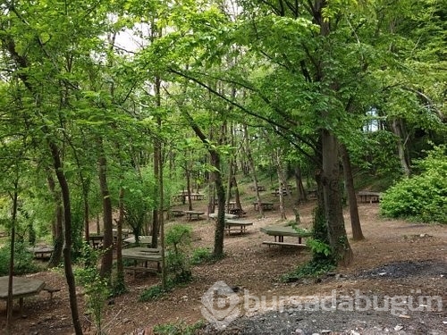  İstanbulda ormanlık alanlara giriş yasaklandı