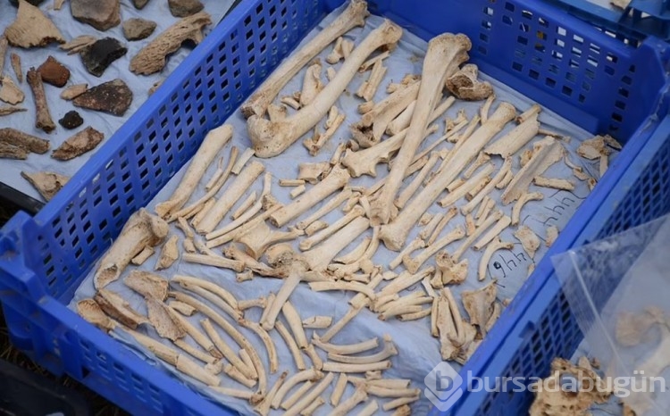 2 bin yıl önce ölen beş insanın kalıntıları ortaya çıkarıldı