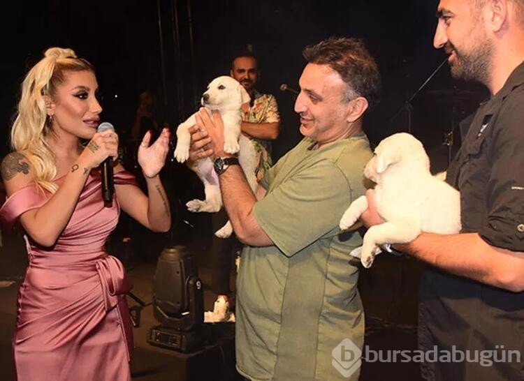 İrem Derici olaylı ayrılığın ardından evlenmek istemediğini açıkladı