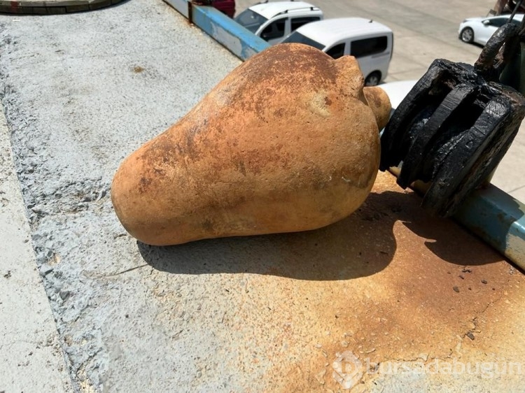 İstanbul Sarıyer'deki bir balıkçıda 11 antik amfora bulundu