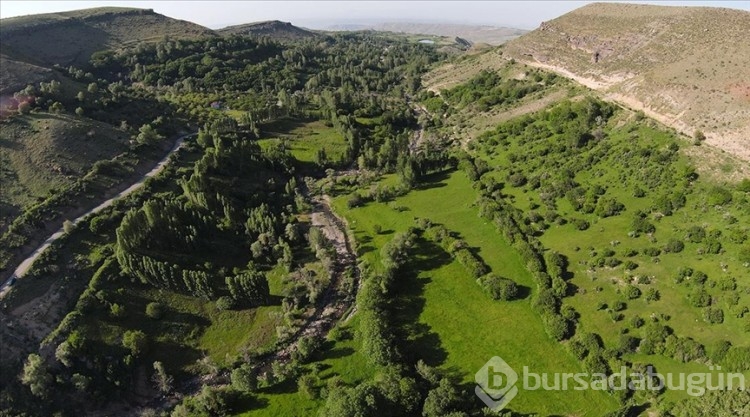 Iğdır'ın Üçkaya Vadisi yeşiliyle Karadeniz'i andırıyor