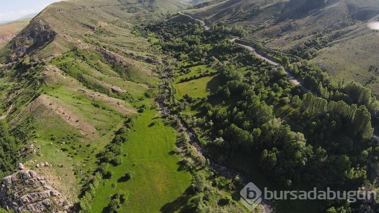 Iğdır'ın Üçkaya Vadisi yeşiliyle Karadeniz'i andırıyor