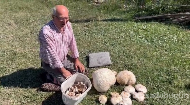 Doğada gezerken dev mantar buldu