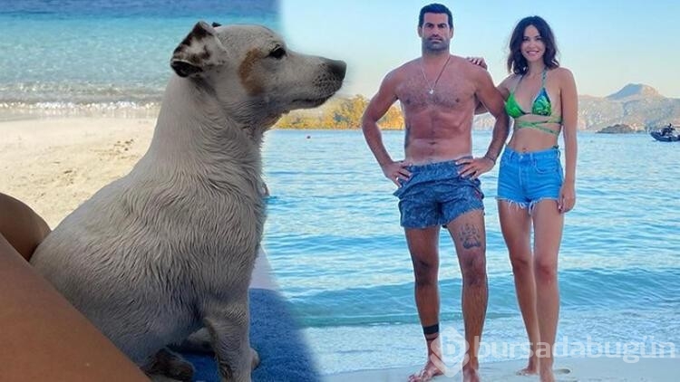 Zeynep Sever Demirel'in köpeği deniz keyfi yapıyor
