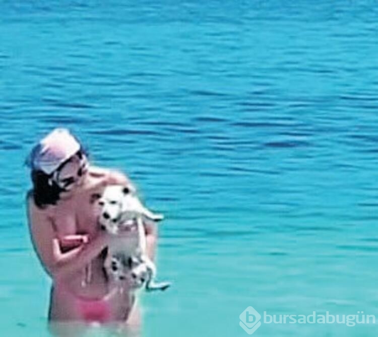 Zeynep Sever Demirel'in köpeği deniz keyfi yapıyor
