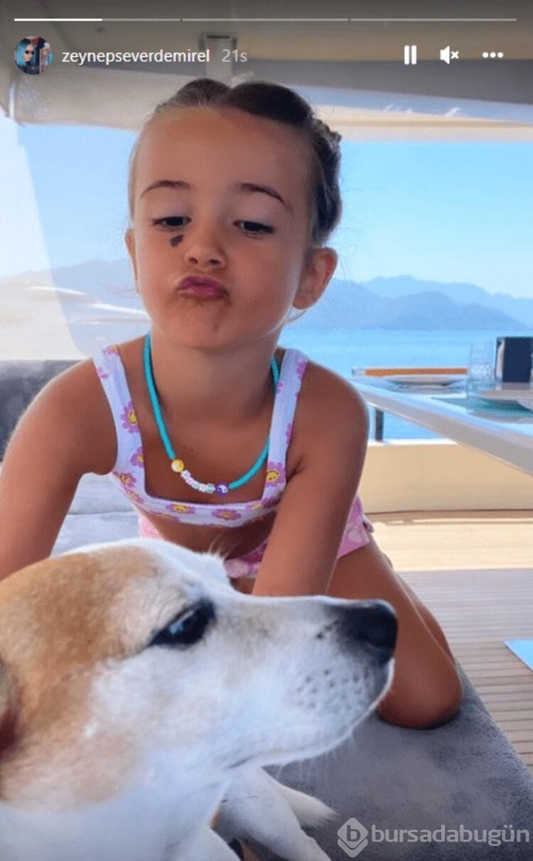 Zeynep Sever Demirel'in köpeği deniz keyfi yapıyor
