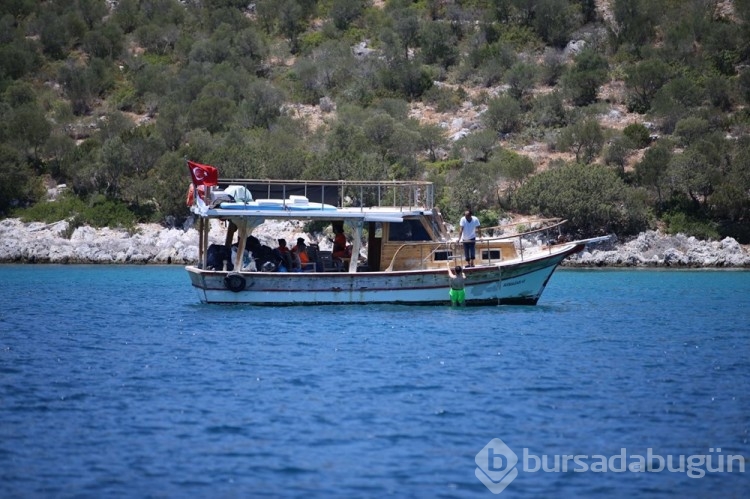 Muğla Bodrum'da kıyı ve dip temizliği