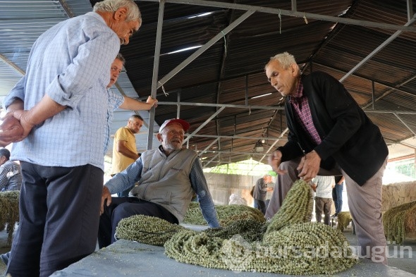 Düğünlerde gram altının yerini aldı, kilosu 850 TL'den satılıyor!