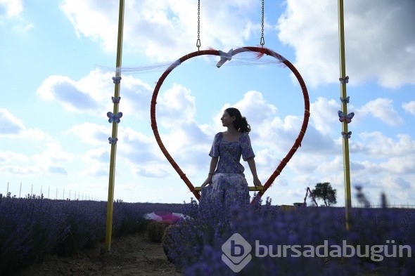 İstanbul'un yanı başındaki Tekirdağ'da mor günler başladı
