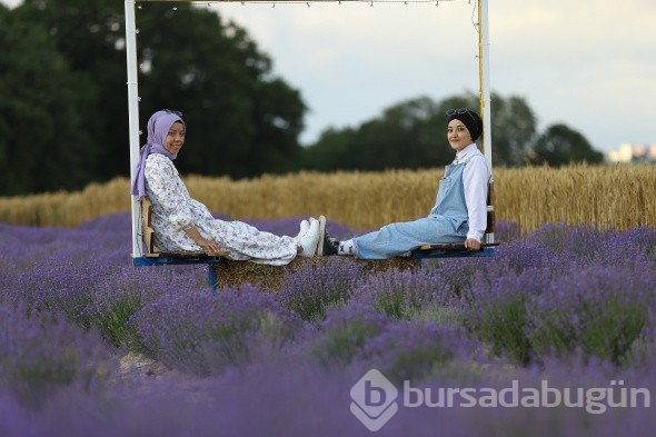 İstanbul'un yanı başındaki Tekirdağ'da mor günler başladı
