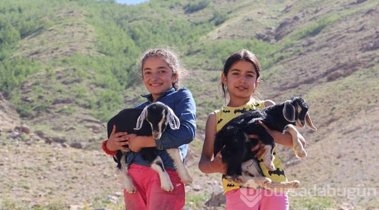 Besiciler hayvanları için Mereto Dağı eteklerindeki yaylaya çıkıyor
