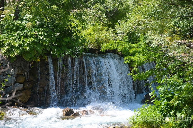 Kar sularıyla canlanan Munzur Gözeleri doğaseverleri ağırlıyor