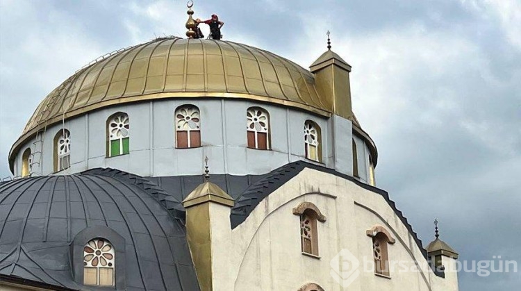 Bursa'da yuvasından düşen yavru leylek beş gün sonra kurtarıldı