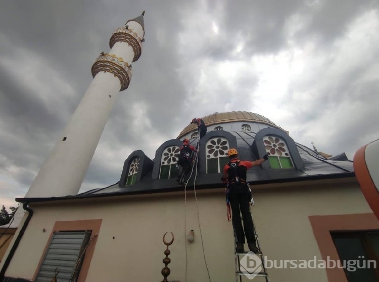 Bursa'da yuvasından düşen yavru leylek beş gün sonra kurtarıldı
