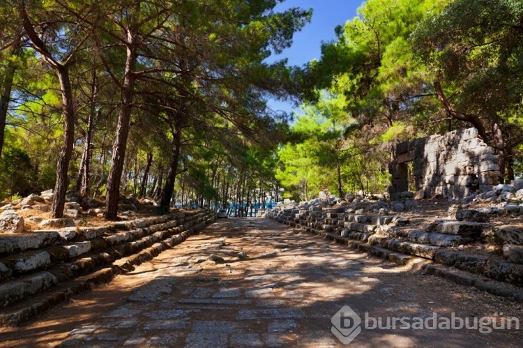 Antik çağın parfüm üretim merkezi: Phaselis
