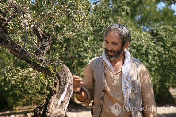 Zeytin Ağacı dizisinden yeni fotoğraflar