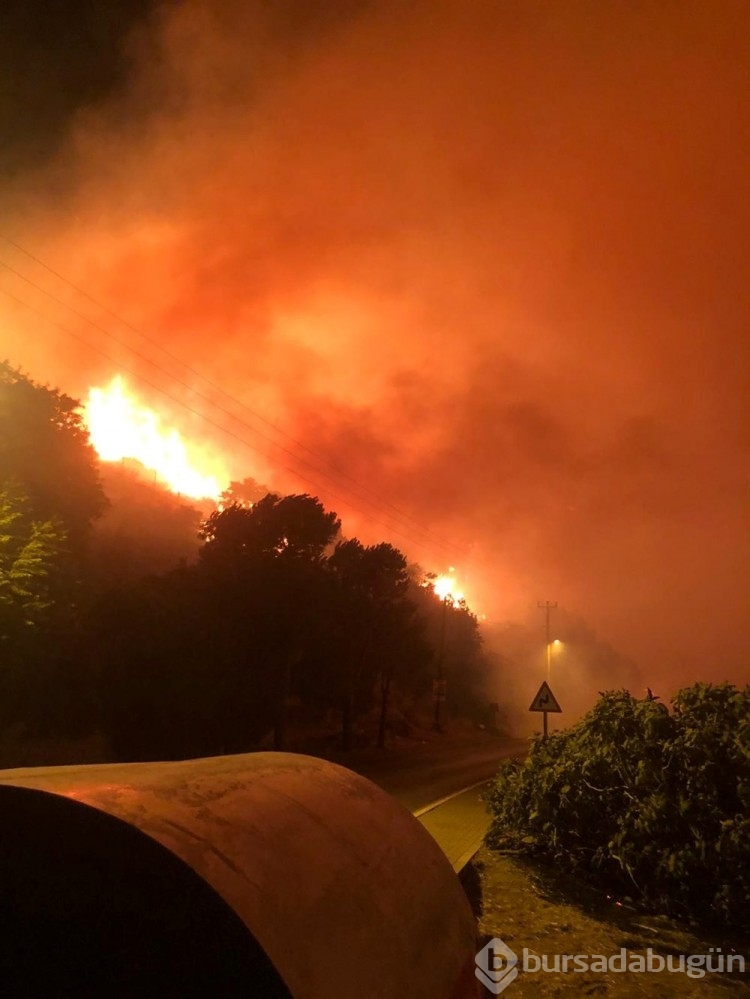Çeşme'de otluk alanda yangın