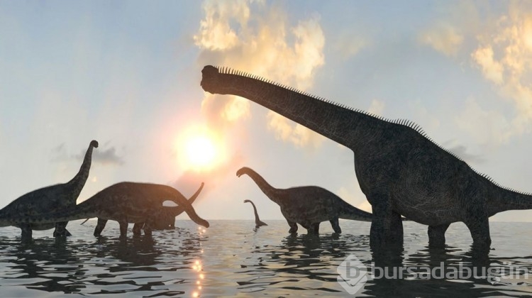 100 milyon yıllık dinozor ayak izleri bulundu