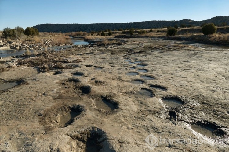 100 milyon yıllık dinozor ayak izleri bulundu
