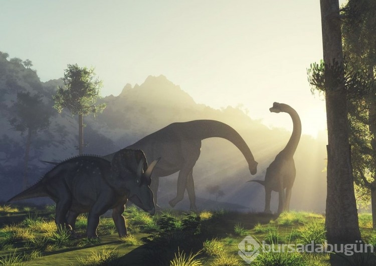 100 milyon yıllık dinozor ayak izleri bulundu