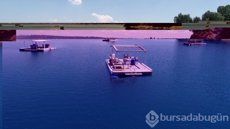 Adana'da korsan dubanın günlüğü 700 lira!