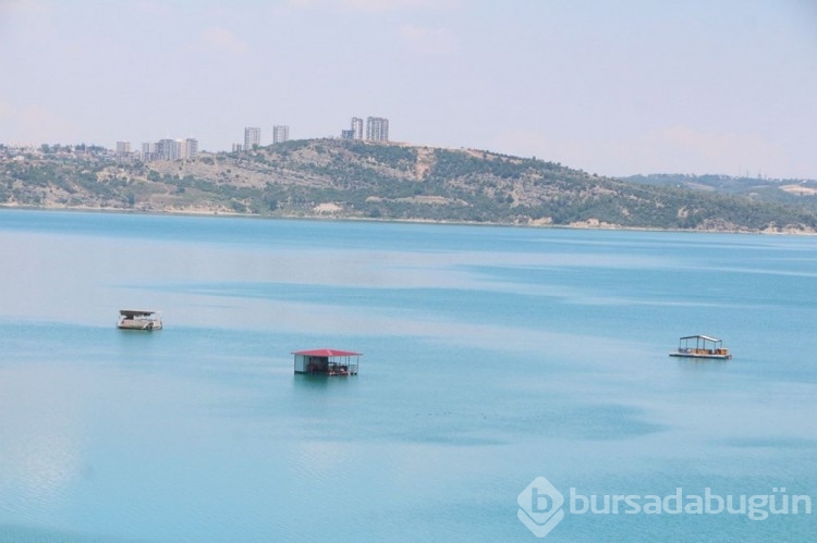 Adana'da korsan dubanın günlüğü 700 lira!