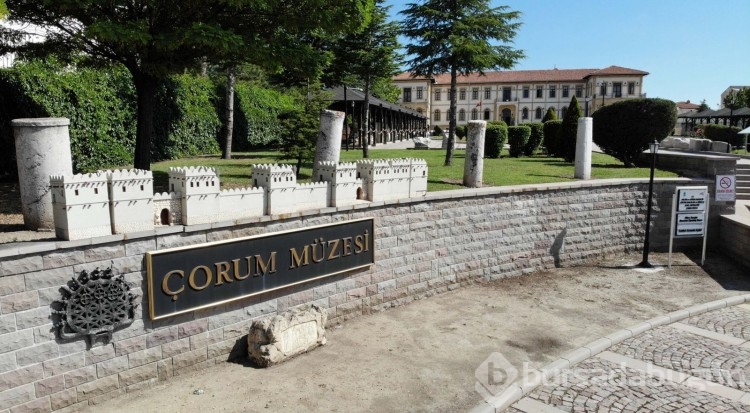 Çorum'da bulundu: Paha biçilemiyor
