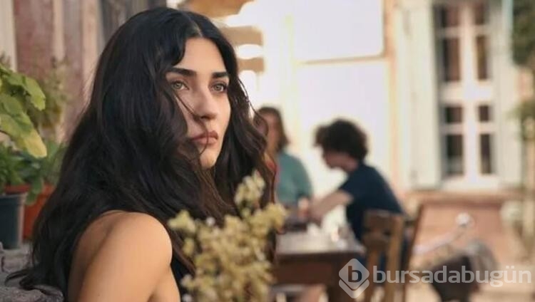 Zeytin Ağacı dizisine geri sayım başladı
