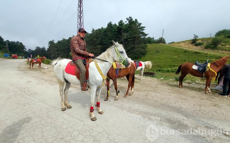 Abant Milli Parkı'nda fayton yasaklandı