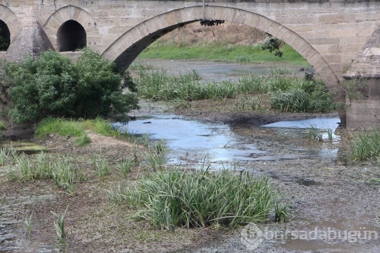 Tunca Nehri'nde su seviyesi yarıya düştü