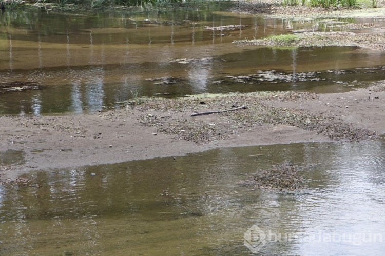 Tunca Nehri'nde su seviyesi yarıya düştü