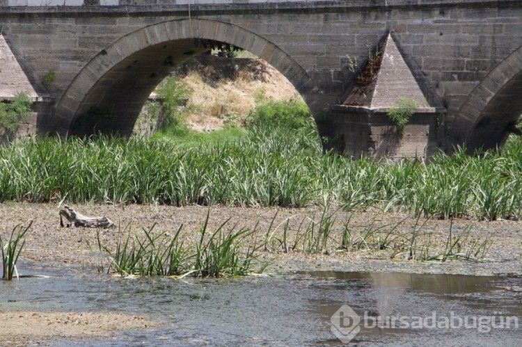 Tunca Nehri'nde su seviyesi yarıya düştü