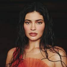Kylie Jenner'e jet eleştirisi!
