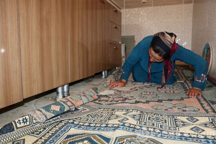 Evden 100 yılan çıktı