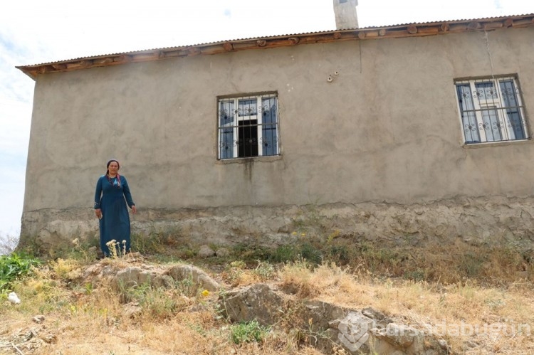 Evden 100 yılan çıktı
