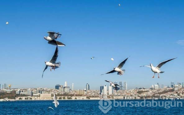 Meteoroloji'den flaş açıklama