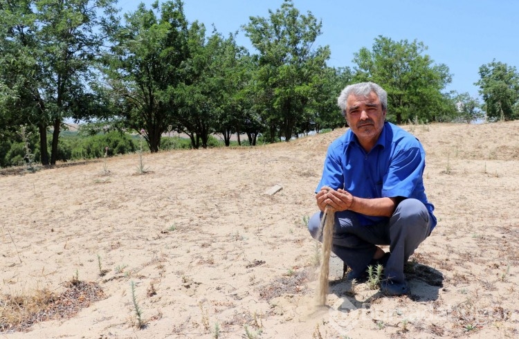 Çöldü, orman oldu