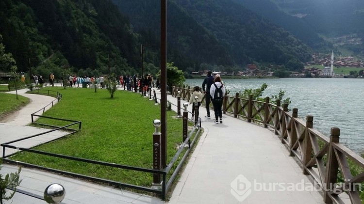 Bungalov evlerinin fiyatı dudak uçuklattı
