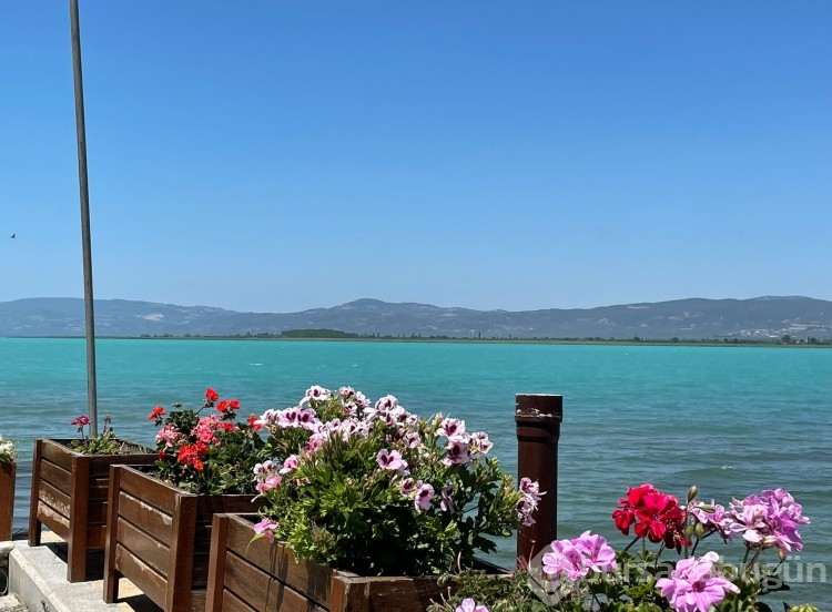 İznik Gölü turkuaz renge büründü
