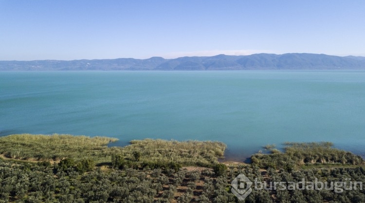 İznik Gölü turkuaz renge büründü