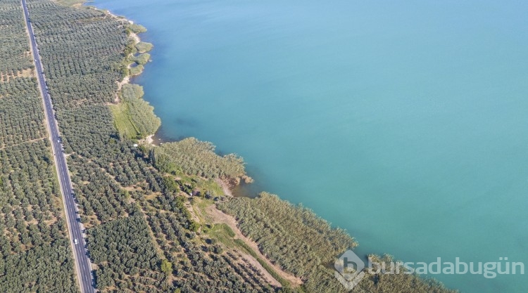 İznik Gölü turkuaz renge büründü