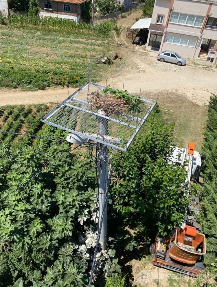 Leyleğin yardımına ekipler yetişti